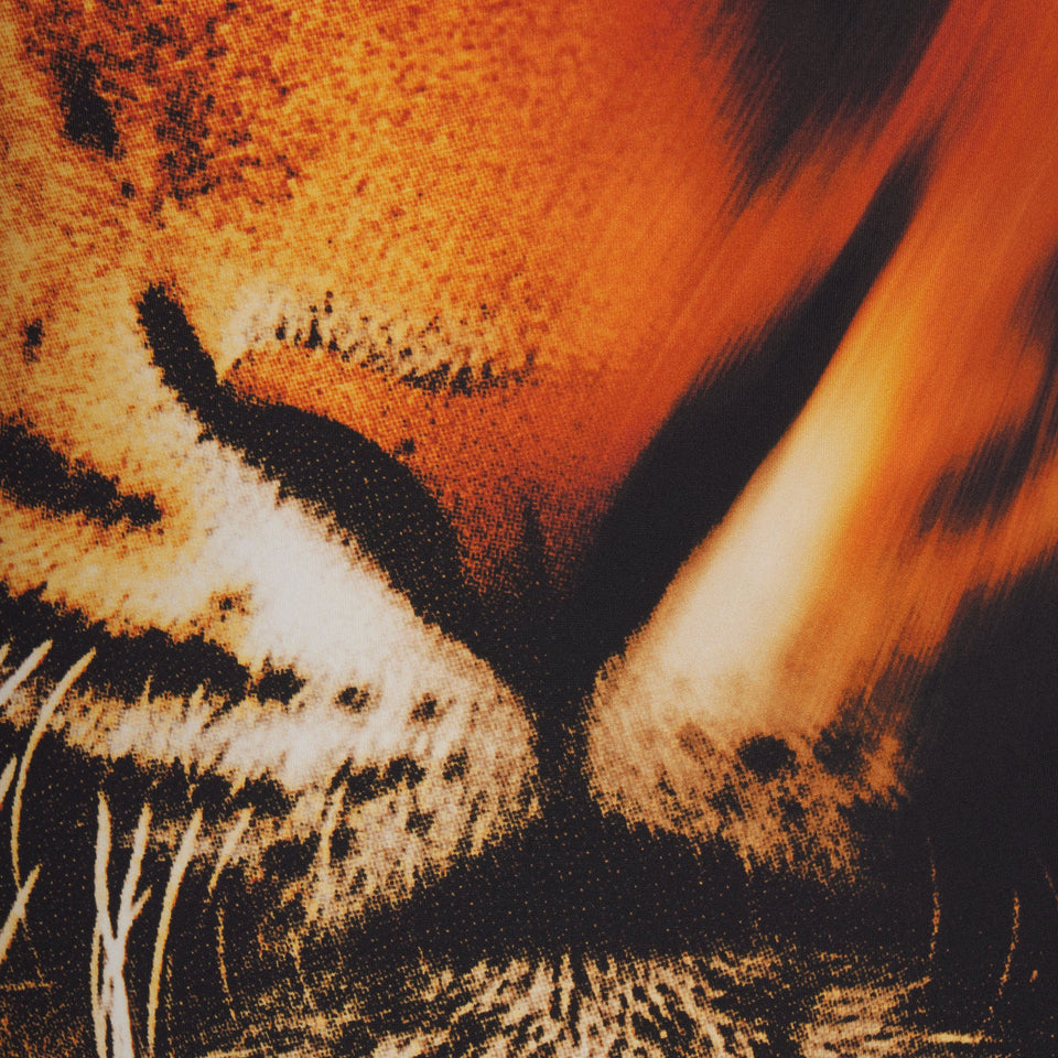ROBERTO CAVALLI X SKIMS DIPPED BIKINI BOTTOM | TIGER FACE PRINT