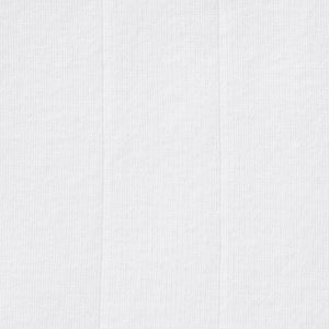 DROP NEEDLE POINTELLE BABY TEE | SNOW