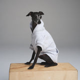 COTTON FLEECE PET HOODIE | LIGHT HEATHER GREY