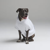 COTTON FLEECE PET HOODIE | LIGHT HEATHER GREY