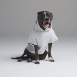 COTTON FLEECE PET HOODIE | LIGHT HEATHER GREY